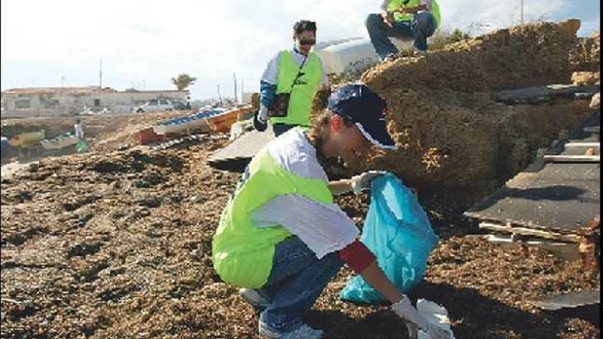 Varios voluntarios 

retiran basura ayer por la mañana en la playa de Agua Amarga de Alicante