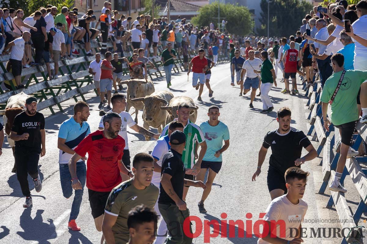 Quinto encierro de la Feria del Arroz de Calasparra