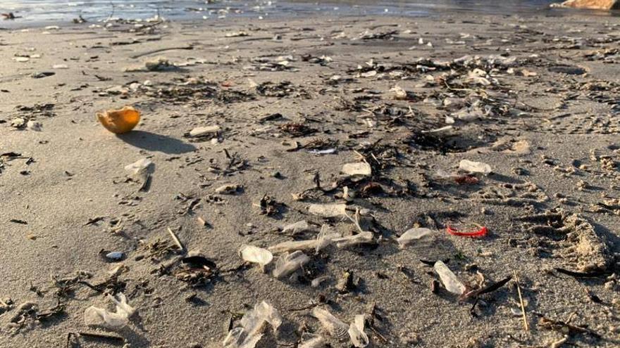 ¿Qué son las pequeñas placas blancas que han aparecido en la playa de Louro?