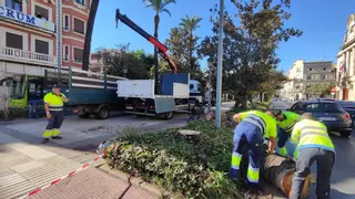 El Ayuntamiento de Badajoz y los sindicatos discrepan sobre la plantilla municipal