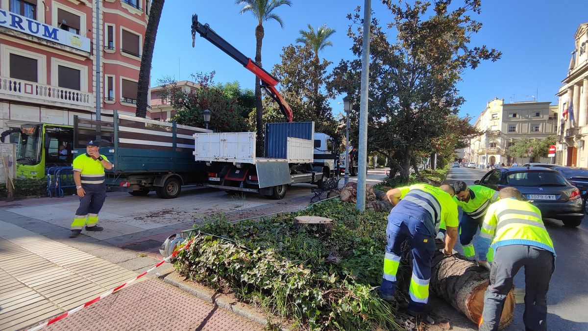 Trabajadores del servicio de Parques y Jardines.