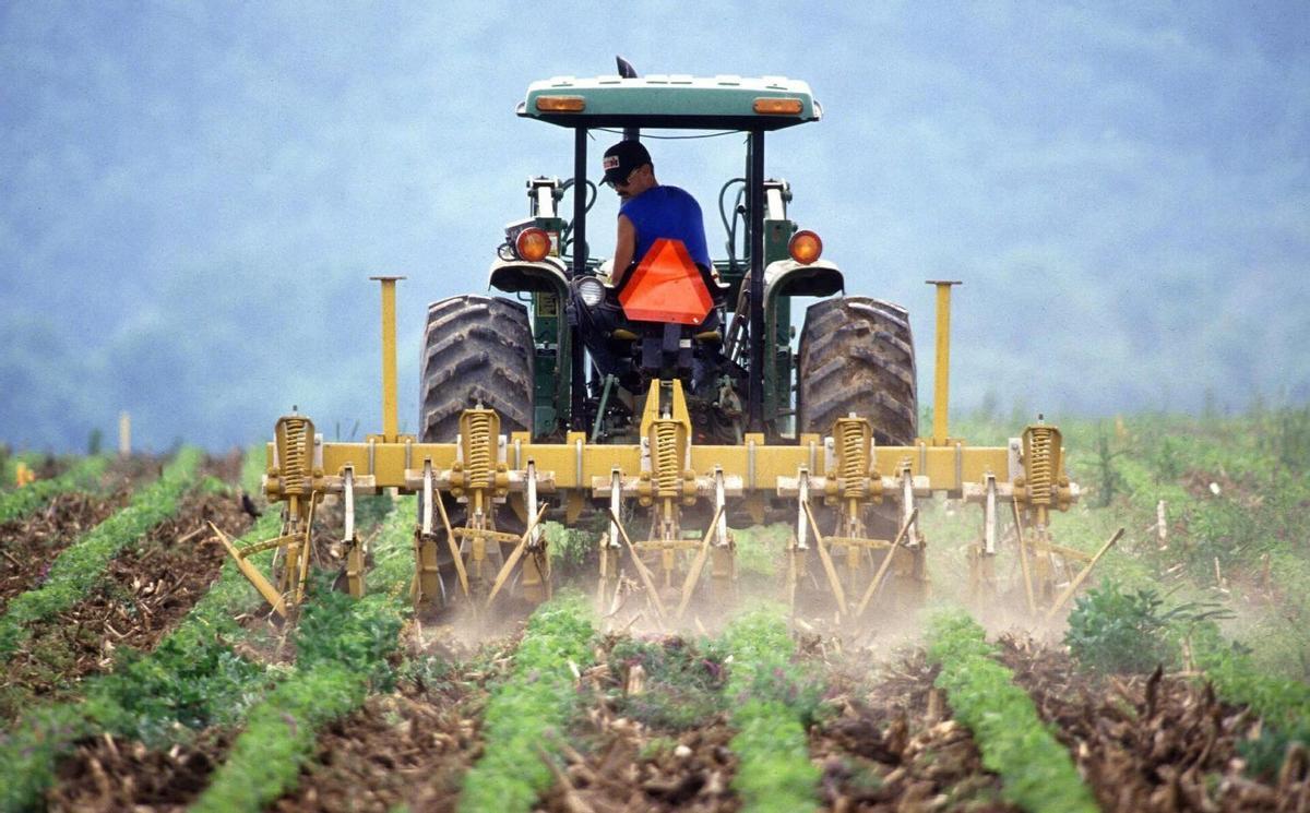 El campo malagueño califica su situación de "insostenible".