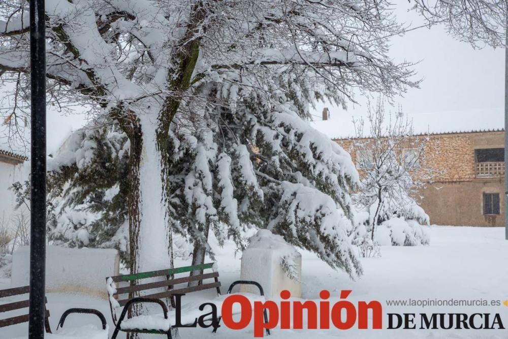 Nieve en El Sabinar (Moratalla)