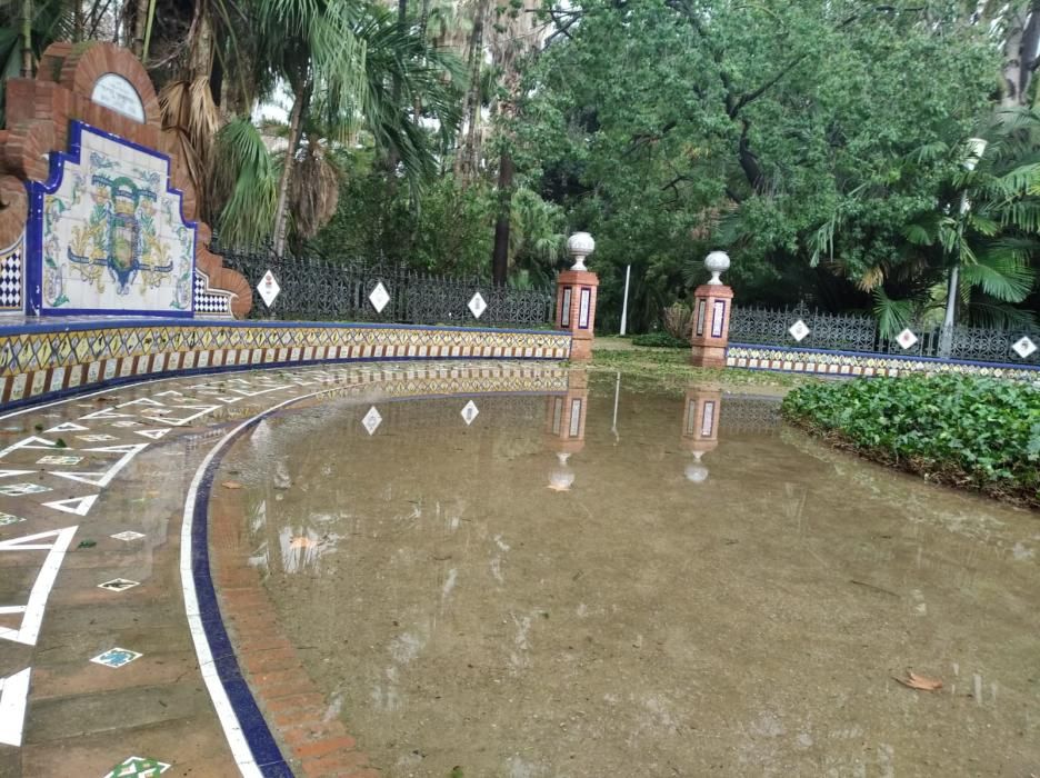 Daños en el Parque de la granizada.