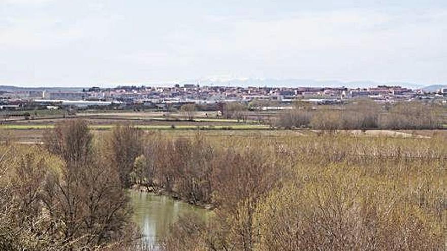 El río Esla a su paso por Castrogonzalo con Benavente al fondo. A. G.