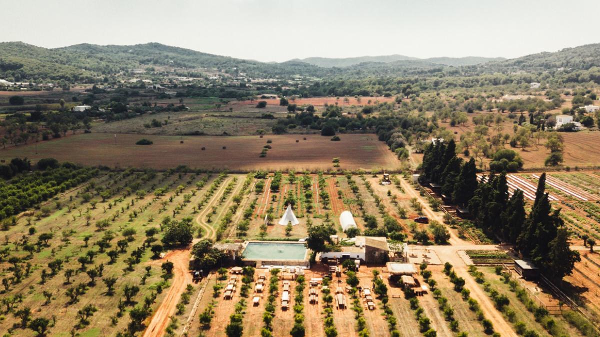 Así es la granja que ha comprado el dj Calvin Harris en Ibiza