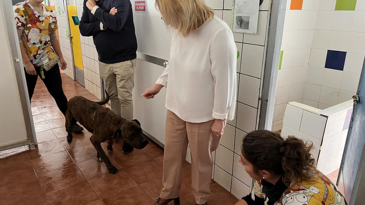 La alcaldesa durante la visita a las instalaciones del Parque Zoosanitario, que, en lo que llevamos de 2022, ha entrado al Parque Zoosanitario 106 animales, el 60% de ellos perros, el 30% gatos y el resto de otras especies