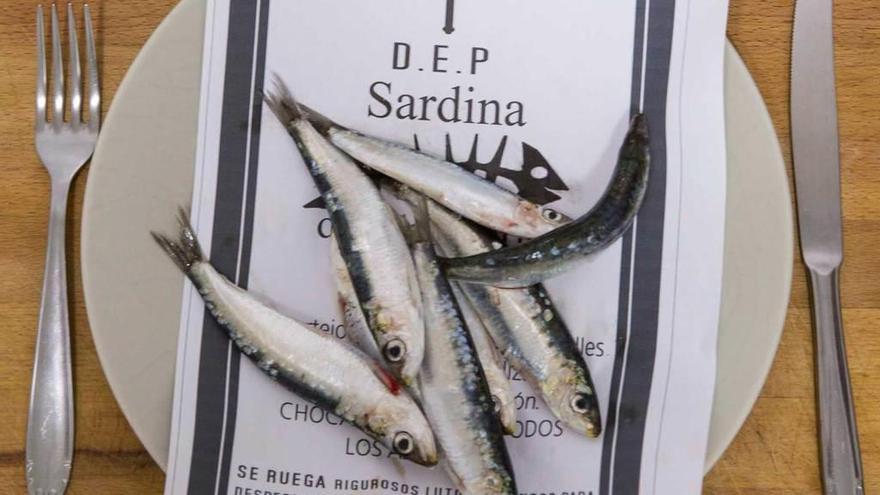 La misteriosa muerte y difícil resurrección de la sardina