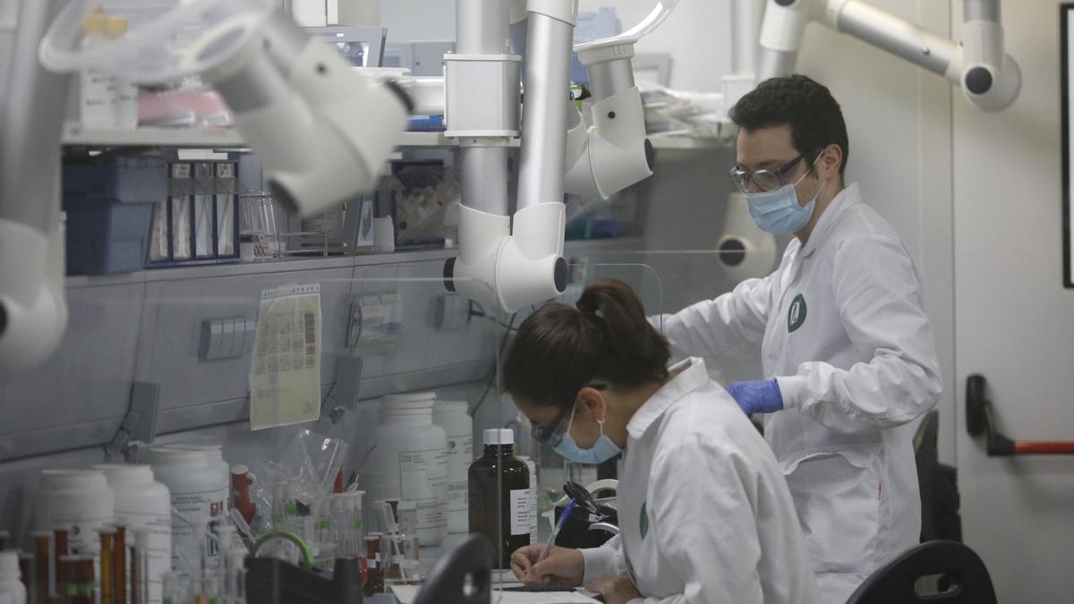 Archivo - Varios trabajadores en el laboratorio de la fábrica de Reig Jofre, en Barcelona, Cataluña (España).