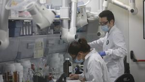 Archivo - Varios trabajadores en el laboratorio de la fábrica de Reig Jofre, en Barcelona, Cataluña (España).