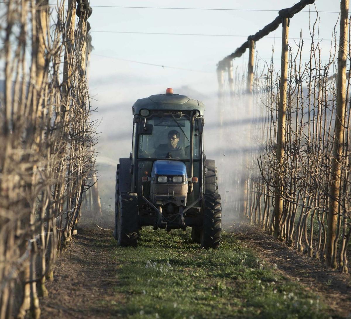 La crisi climàtica forçarà canvis  en la indústria agroalimentària