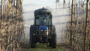 La crisi climàtica forçarà canvis  en la indústria agroalimentària