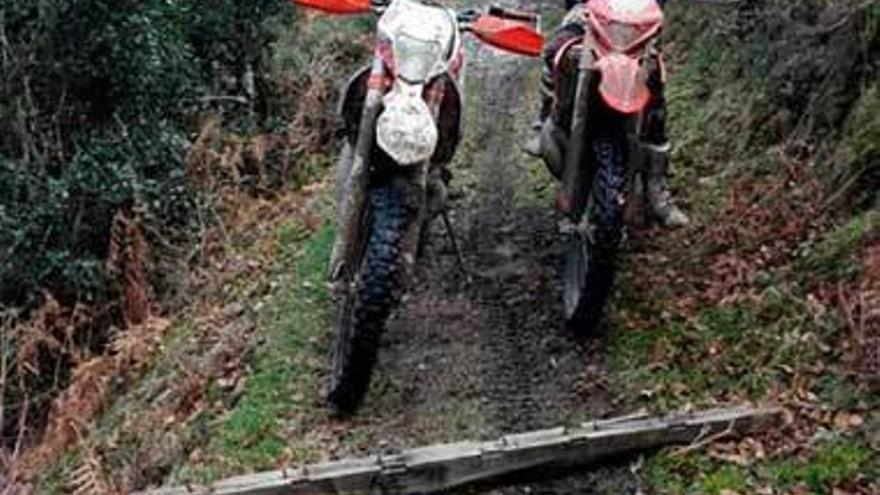 El tablón trampa encontrado por los integrantes del Motoclub Enduro Cabranes en un camino del concejo, días atrás.