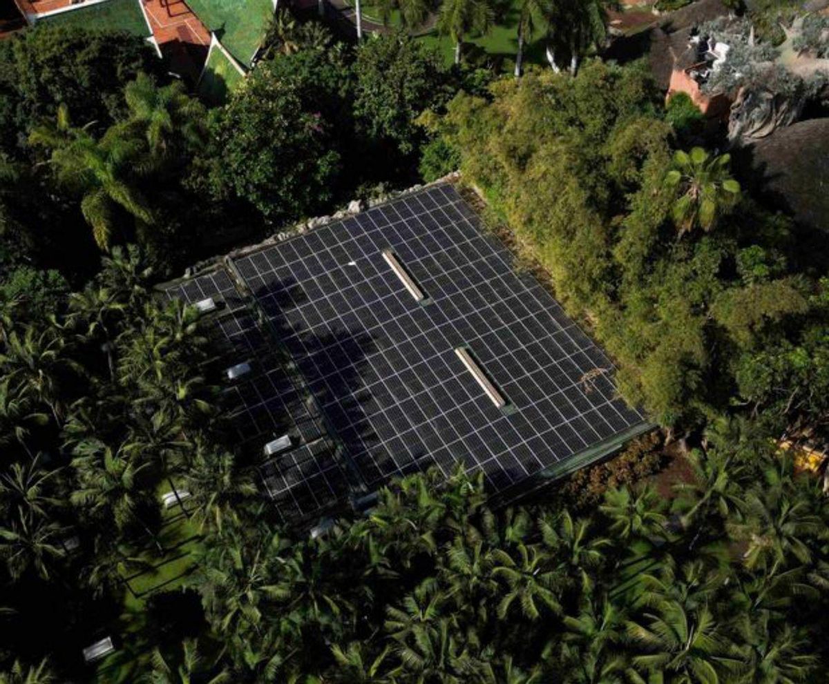 Loro Parque: Compromiso Real con el planeta