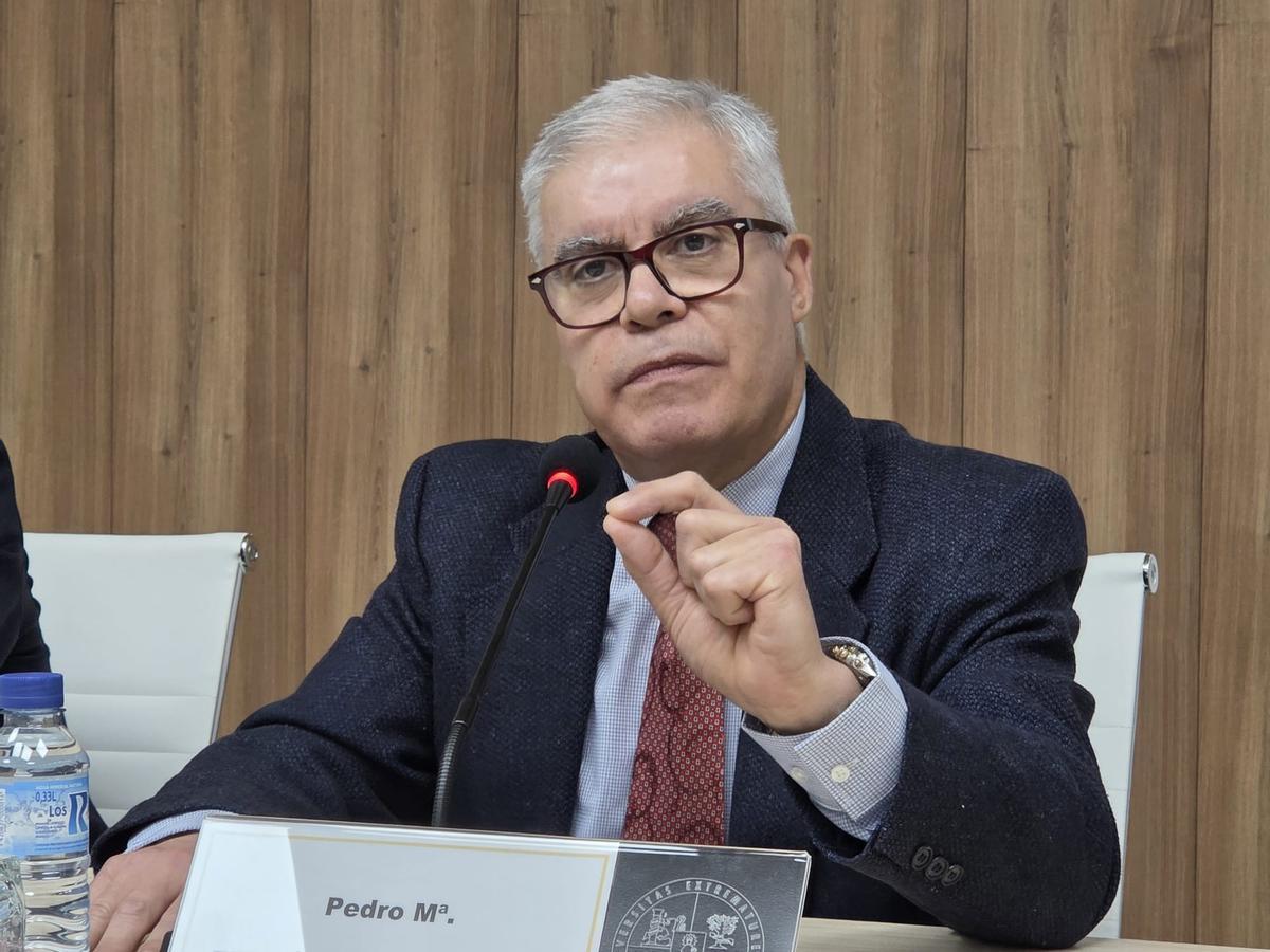 El rector de la Universidad de Extremadura (UEx), Pedro M. Fernández.
