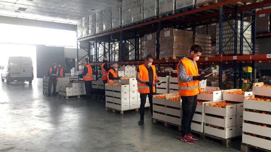 Voluntaris del Banc dels Aliments de Girona preparant els lots a la nau que l&#039;entitat té al barri de Vila-roja de la ciutat