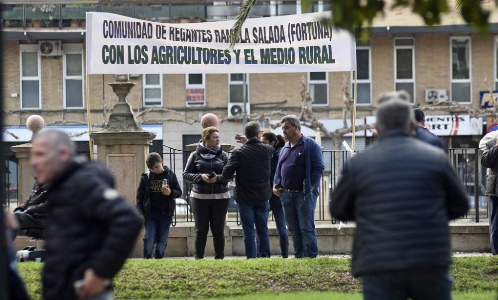 Así ha sido la manifestación de los agricultores en Murcia (II)