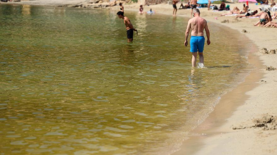 Menos ingresos en Cala Vedella y Cala Tarida por culpa de la mancha verde en el mar