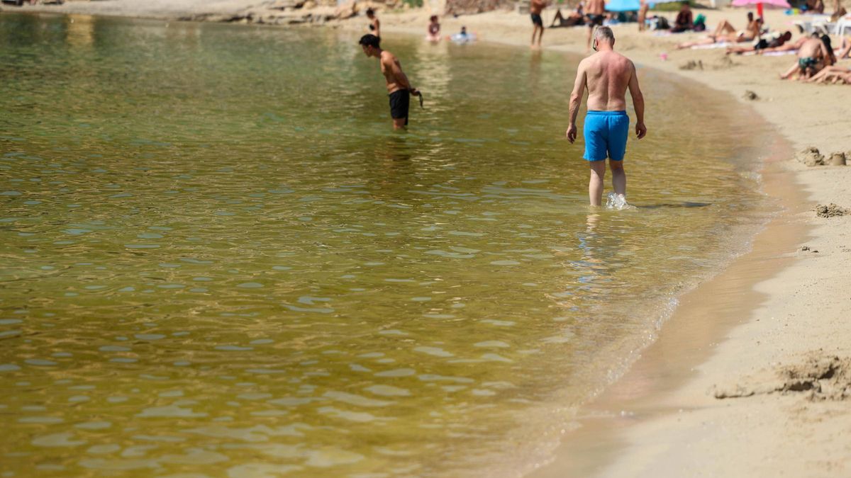Imagen de Cala Vedella, este martes a primera hora de la tarde.