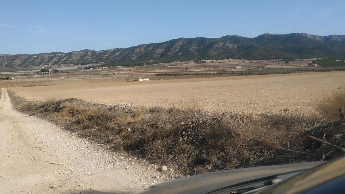 Terrenos de Salinas donde se proyecta instalar la planta solar Serol.