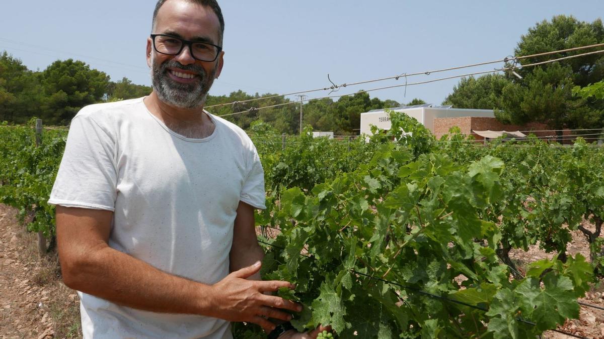 Jose Abalde en las viñas de Terramoll, en Formentera. | FOTOS: TERRAMOLL