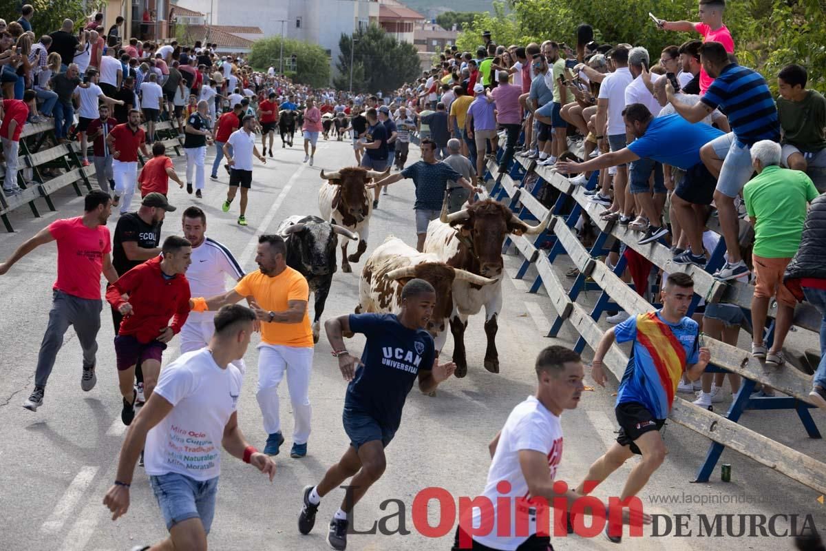 Primer encierro de la Feria del Arroz de Calasparra