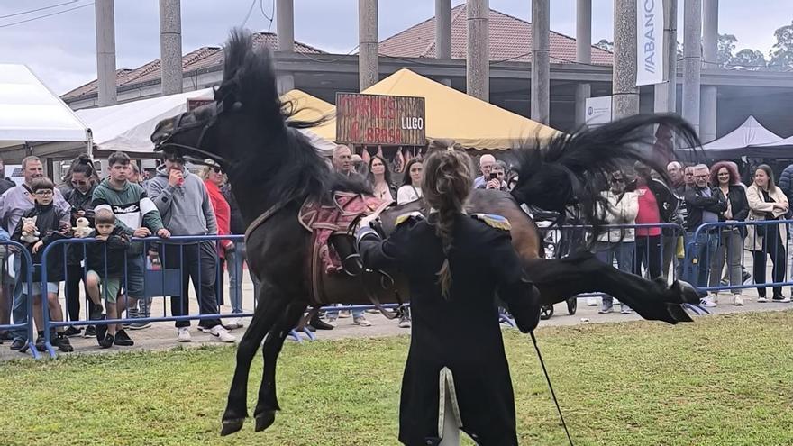 La Semana Verde cabalga entre rapas, pura raza y un pájaro azul de leyenda