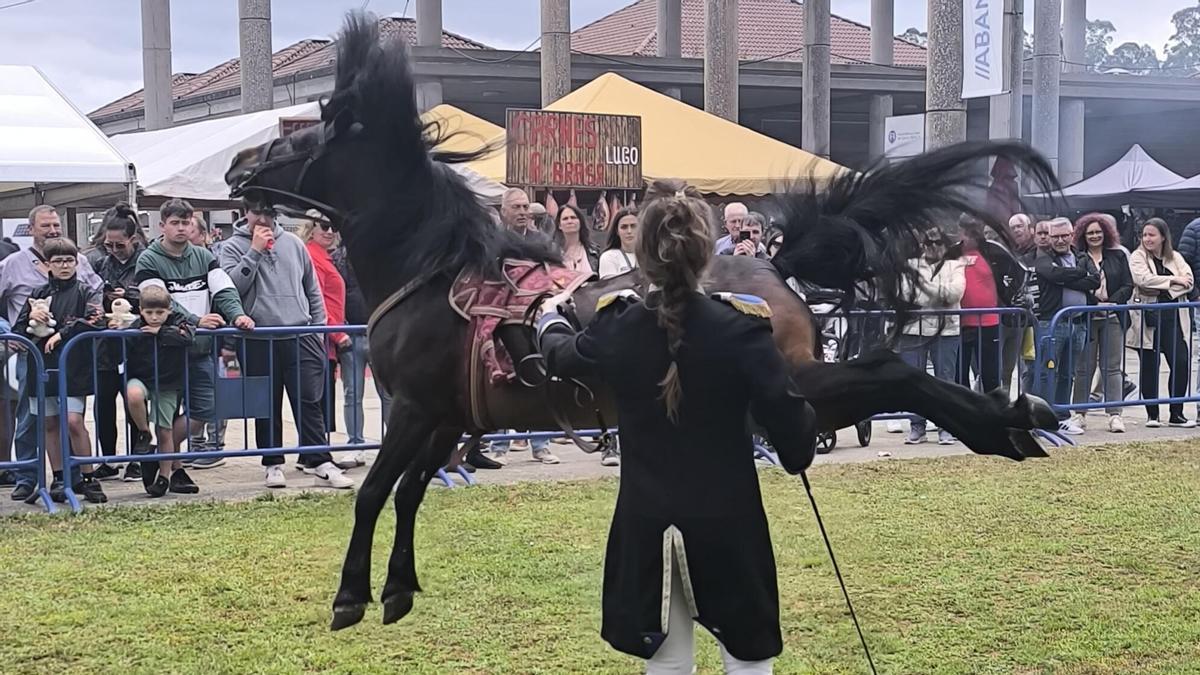 Exhibición de doma clásica en 2025.