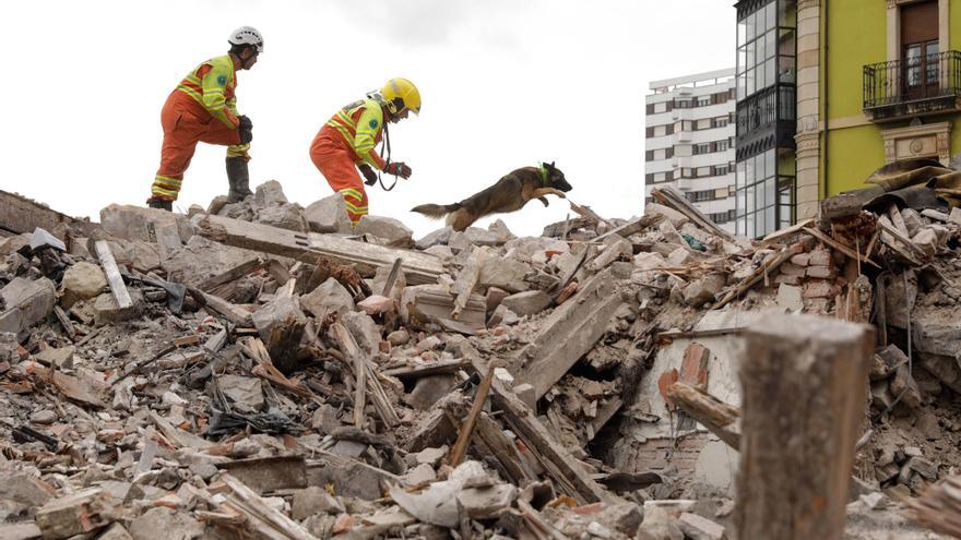 Así entrena en los escombros de un edificio gijonés la Unidad Canina de Rescate del Principado