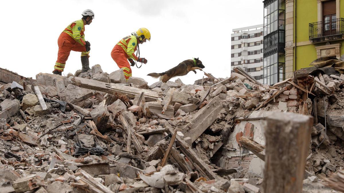 Unidad Canina