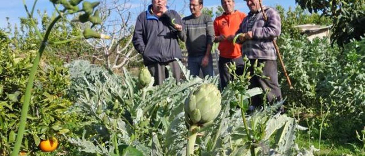 Cuatro de los vecinos que se consideran afectados por el nuevo sorteo de las parcelas.