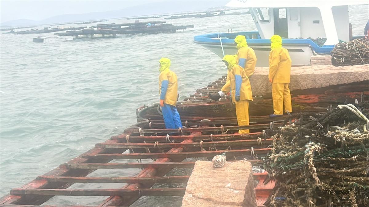 Bateeiros jugándose la vida en la ría de Arousa para recuperar una batea a la deriva esta mañana.