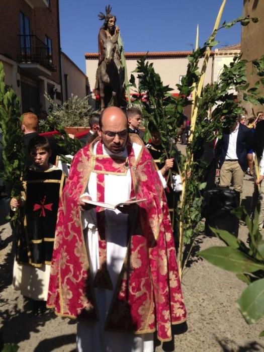 Semana Santa en Toro: La Borriquita