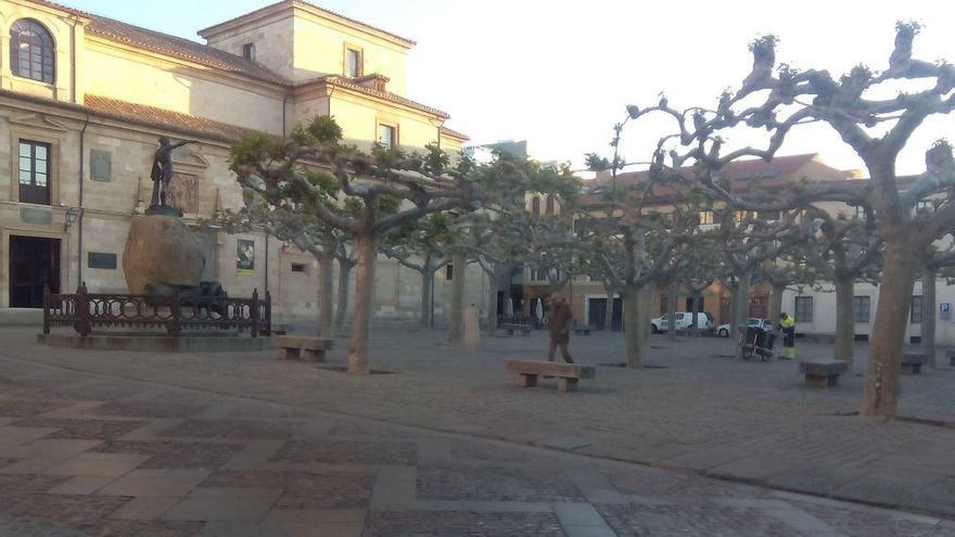 La plaza de Viriato amanece con tímido sol.