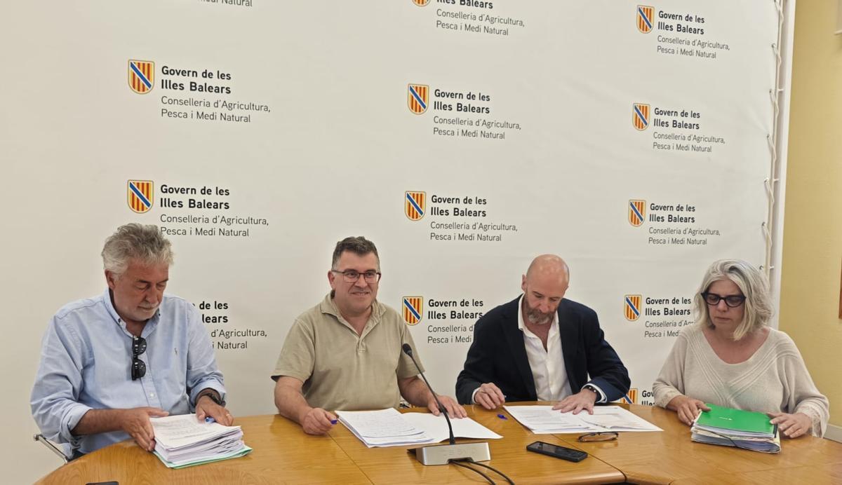 Rueda de prensa sobre la problemática con la granja de gallinas de Llucmajor