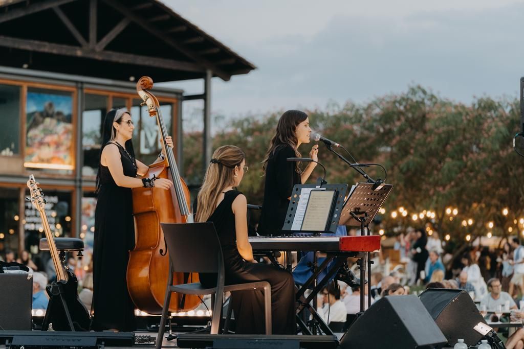 Les imatges d ela segona jornada del Festival Vallviva