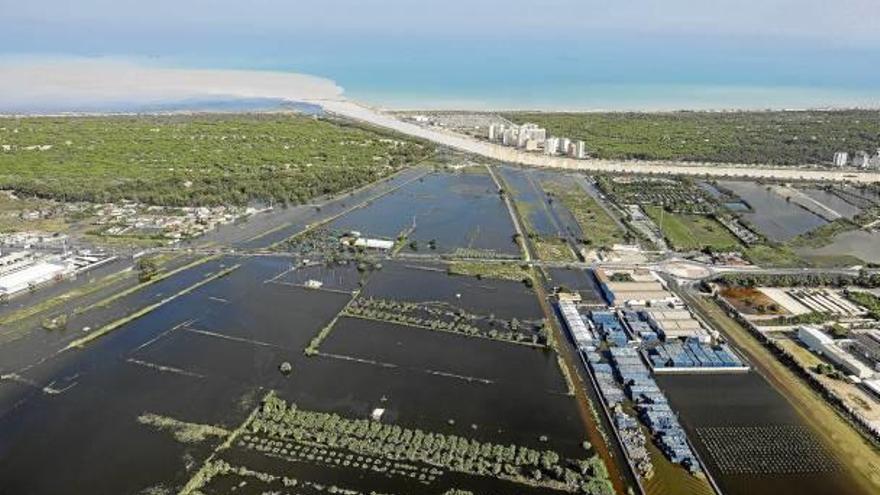 Desembocadura del Segura tras la DANA con la zona de inundación bloqueada por el propio cauce.