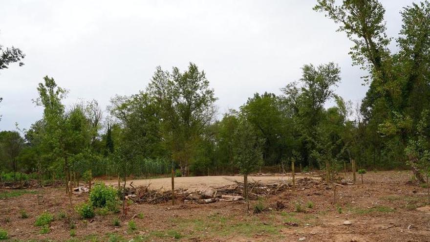 Girona crea cinc basses més a les hortes de Santa Eugènia per reforçar la biodiversitat i adaptar-les al canvi climàtic