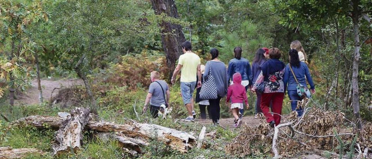 O Grove centra buena parte de su estrategia turística en el contacto con la naturaleza y la observación de las aves. // Muñiz