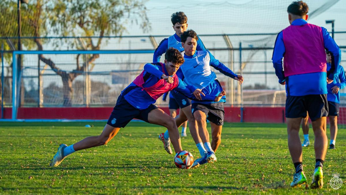 Varios jugadores del Mallorca juvenil, en un entrenamiento en Son Bibiloni