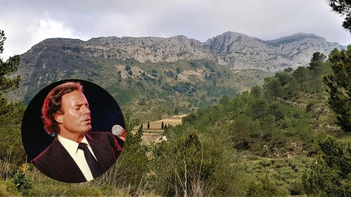 La finca que fue propiedad de una sociedad participada por Julio Iglesias y que ahora está en subasta.