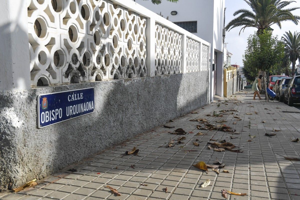 Hierbas en aceras de las calles de Escaleritas