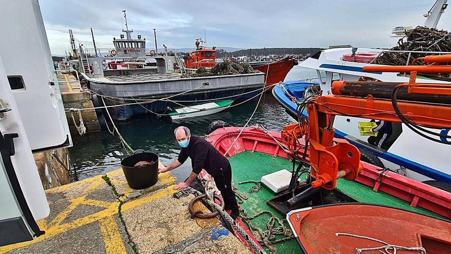 El nuevo muelle pesquero en Con das Señoritas podría ser la solución  | M.M.