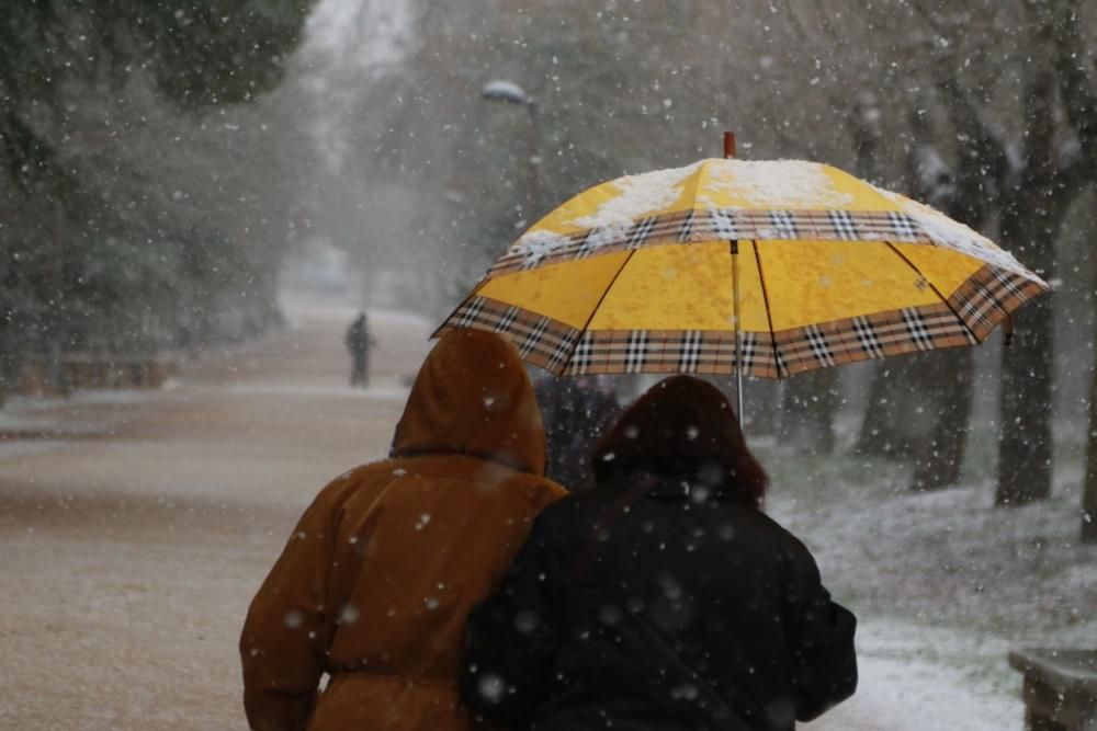 Primera nevada en Zamora capital