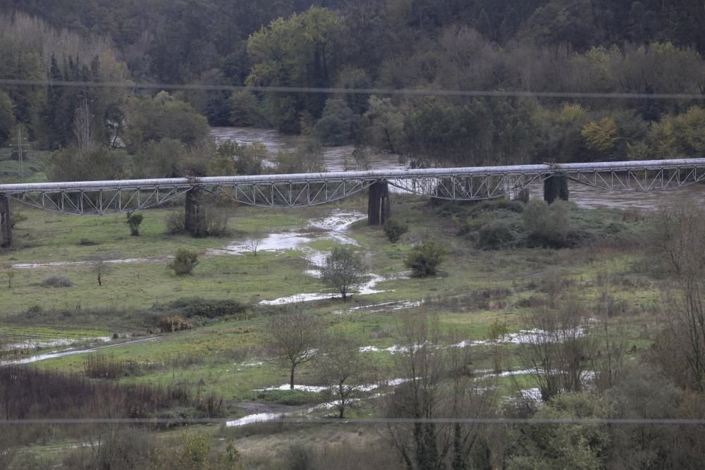 El río Nalón desbordado a su paso por Pravia y Quinzanas