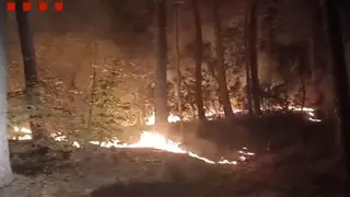 Els Bombers treballen en un incendi amb tres focus entre Amer i Susqueda
