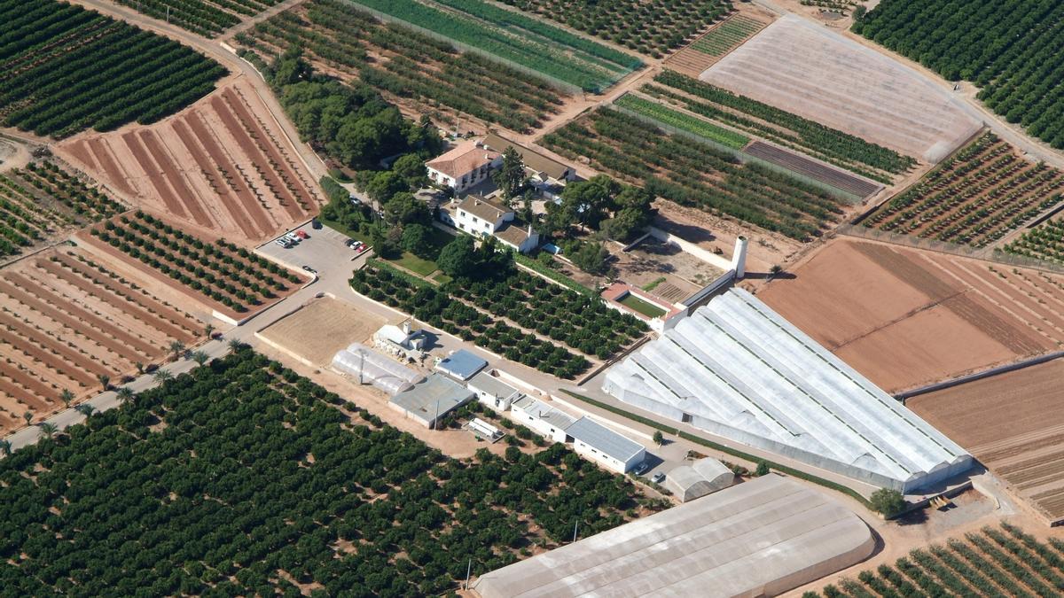 Campo de ensayos de Anecoop en Museros.