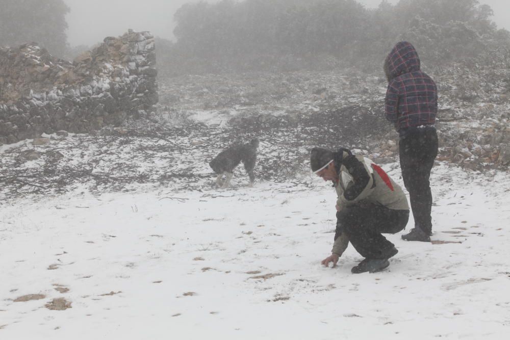 La nieve llega a la provincia de Alicante