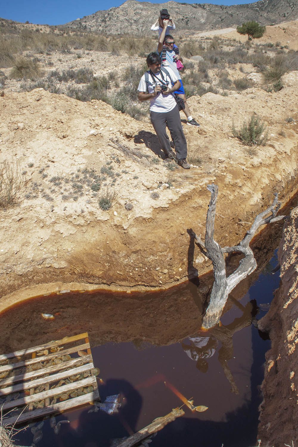 Fincas contaminadas, protestas vecinales, y catas de la Guardia Civil en las zonas de enterramiento de basura entre 2005 y 2011