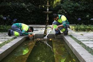 Dos técnicos de la ASPB buscan larvas de mosquito tigre en uno de los estanques de los jardines de la Tamarita, en el distrito barcelonés de Sant Gervasi.